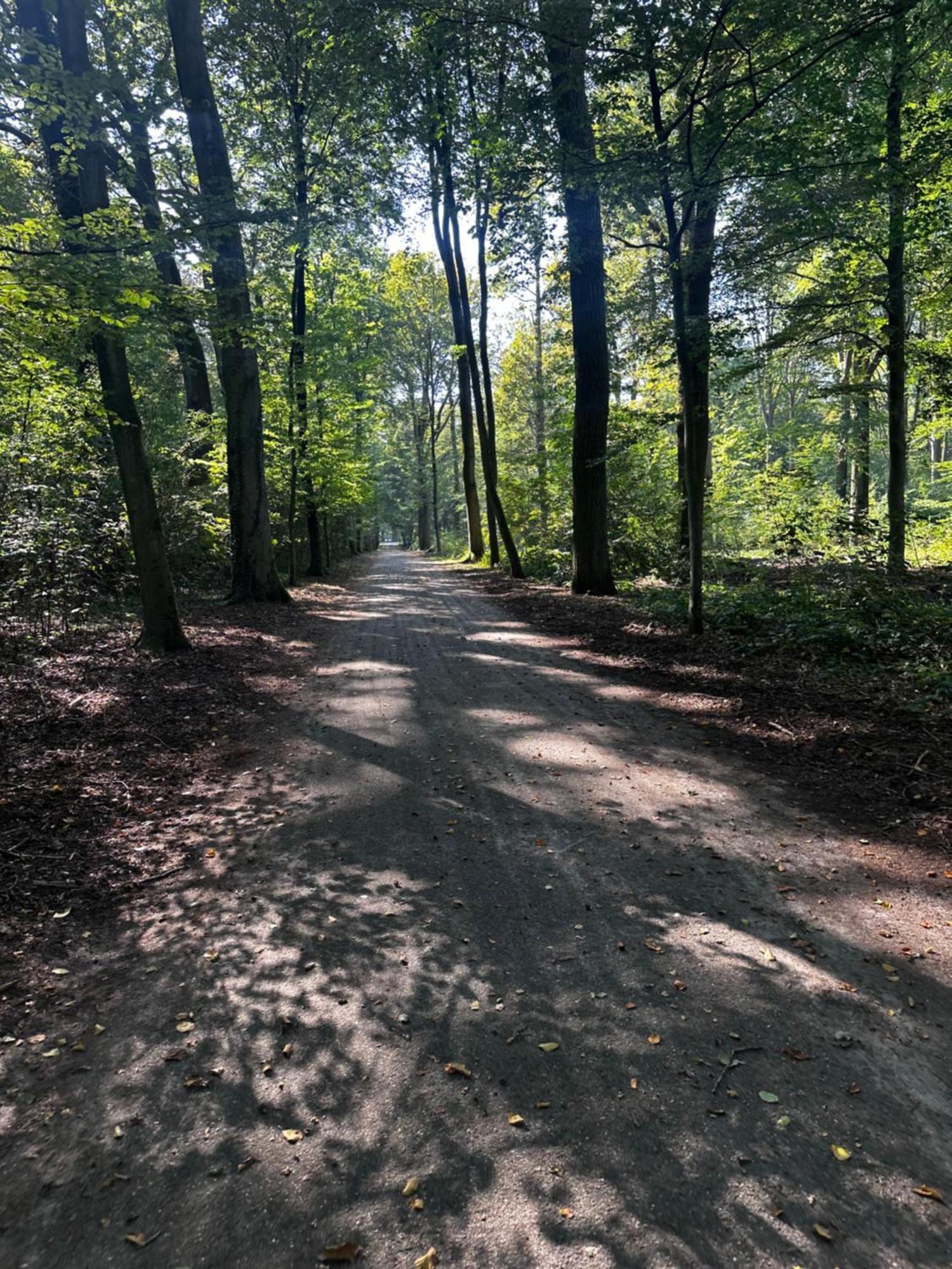 Chalet In Het Bos - Gezin - Wandelaars - Digital Nomads - Hs Wifi - Fijnspar 108 Aan de Wolfsberg Екстериор снимка